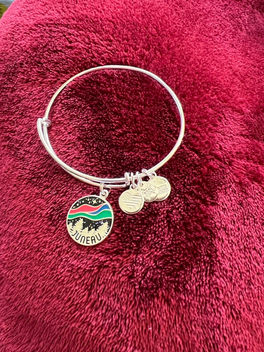 Alex and Ani Silver Bangle Bracelet with Multi-Color Juneau Charm